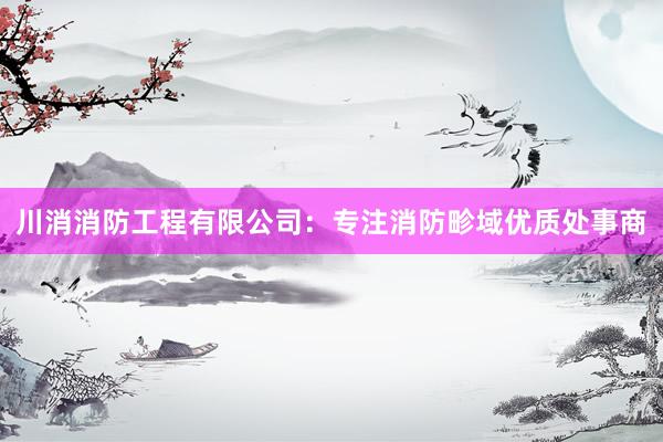 川消消防工程有限公司：专注消防畛域优质处事商