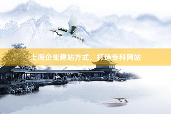 上海企业建站方式，打造专科网站